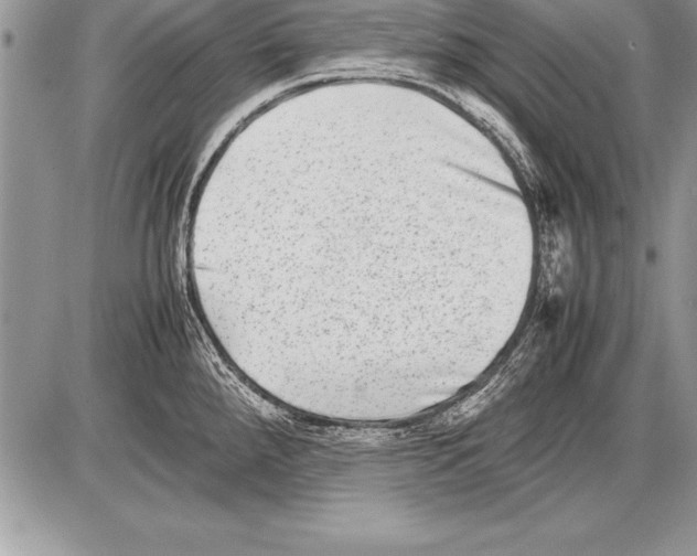 X0000085731288200704131610