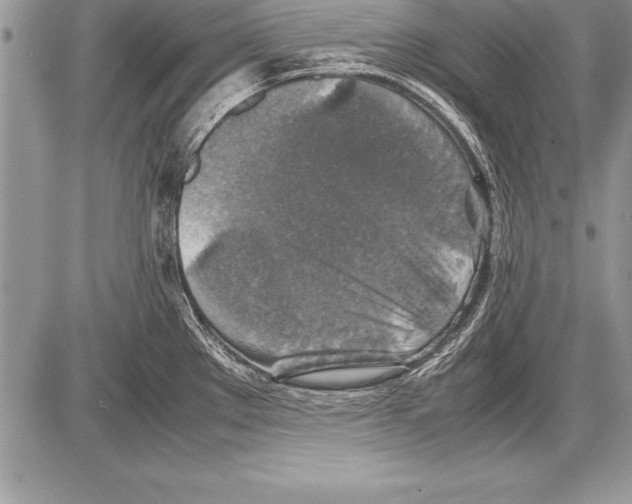 X0000085731289200704131610