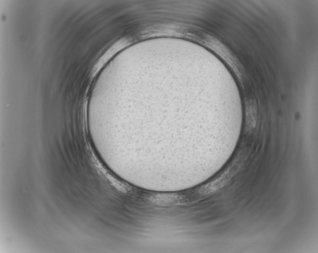 X0000085731290200704131610