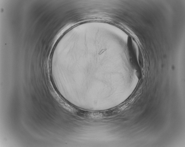 X0000085731291200704131610