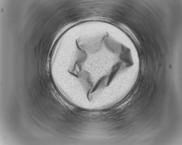 X0000085731292200704131609