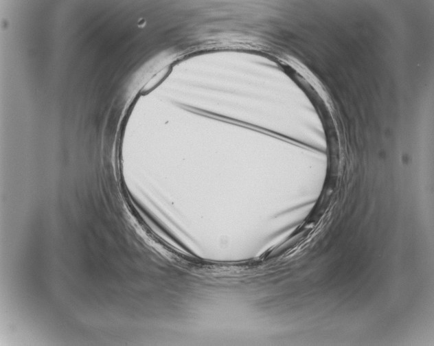 X0000085731293200704131609