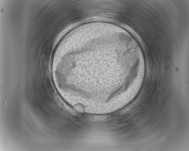 X0000085731294200704131609