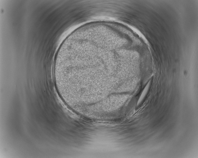 X0000085731295200704131609