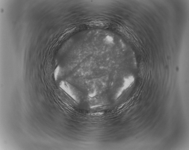 X0000085731297200704131609