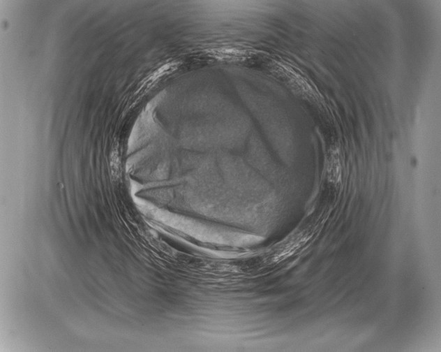 X0000085731298200704131609