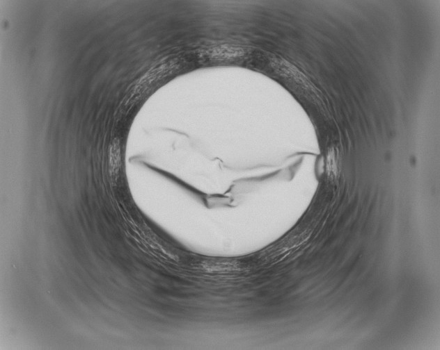 X0000085731299200704131609