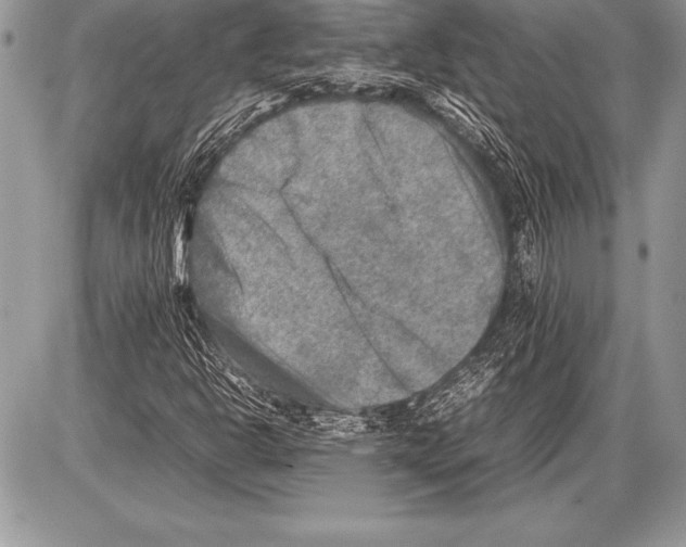 X0000085731302200704131609