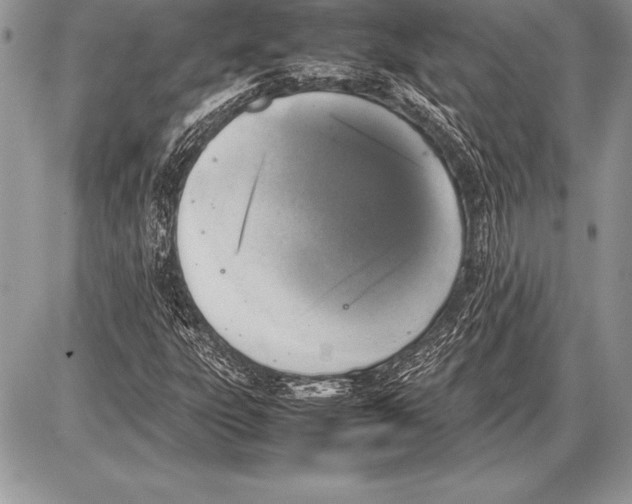 X0000085731303200704131609