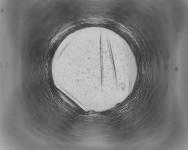 X0000085731304200704131609