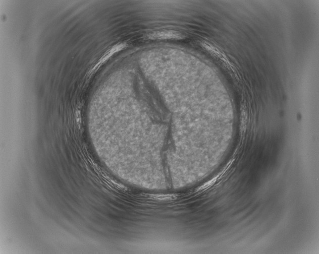 X0000085731305200704131609