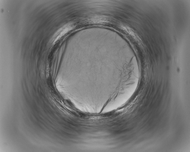 X0000085731306200704131609