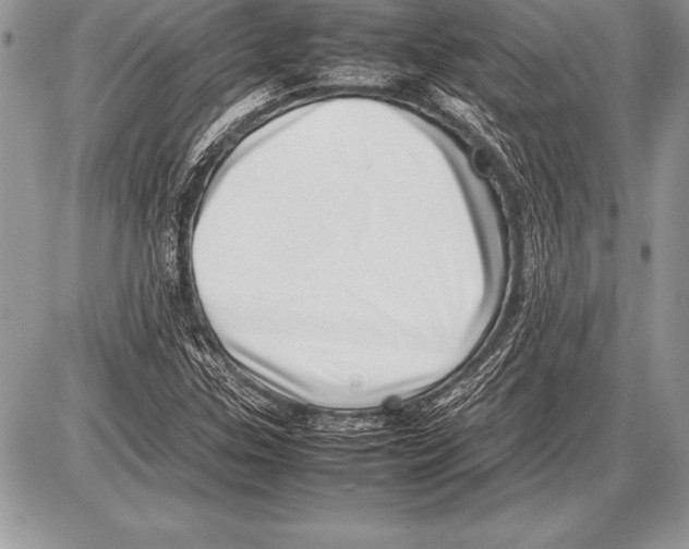 X0000085731307200704131609