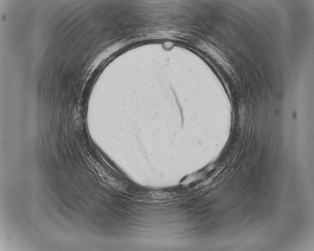 X0000085731308200704131609