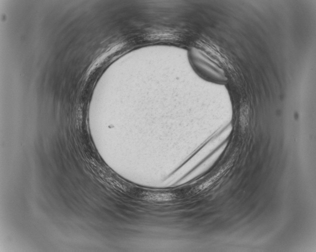 X0000085731309200704131609