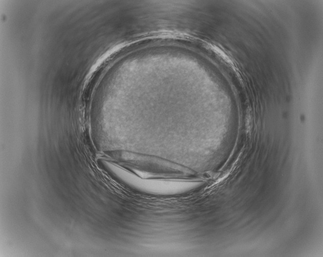 X0000085731310200704131609