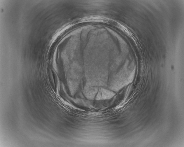 X0000085731312200704131609