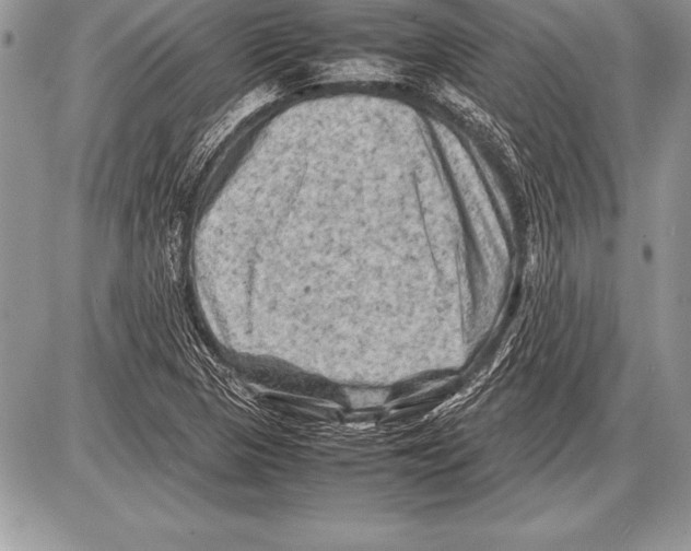 X0000085731313200704131609