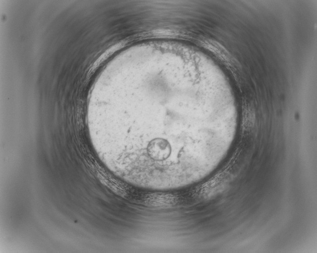 X0000085731314200704131609