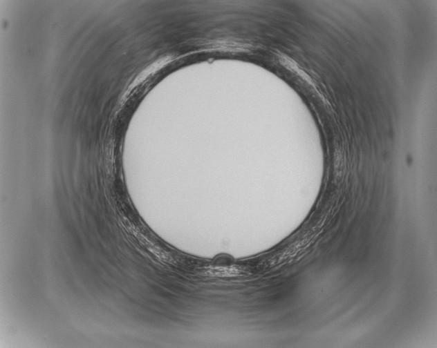 X0000085731315200704131609