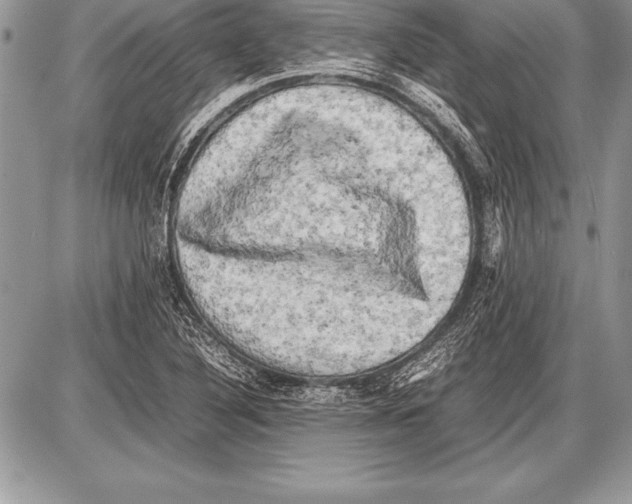 X0000085731316200704131609