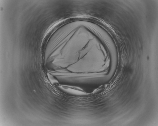 X0000085731319200704131609