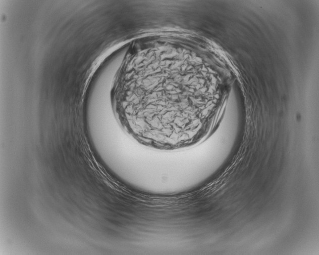 X0000085731320200704131609