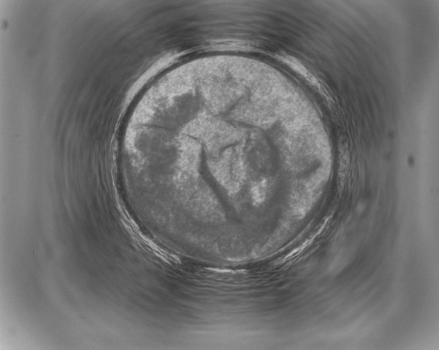 X0000085731325200704131609