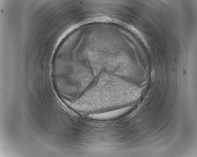 X0000085731326200704131609