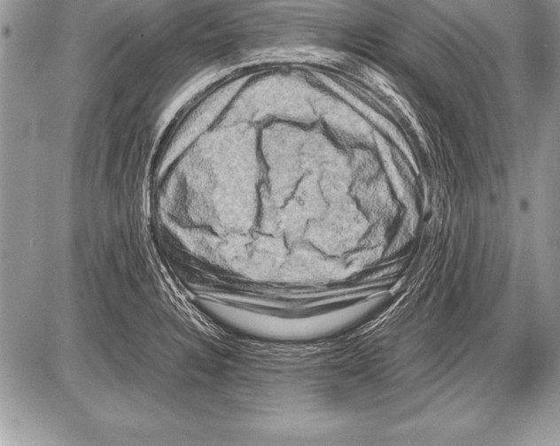 X0000085731328200704131609