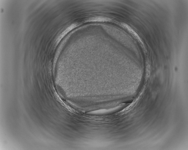 X0000085731329200704131609