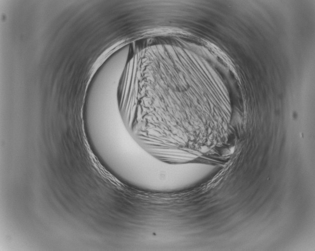 X0000085731330200704131609