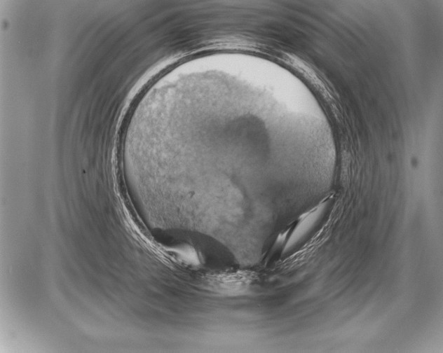 X0000085731331200704131609