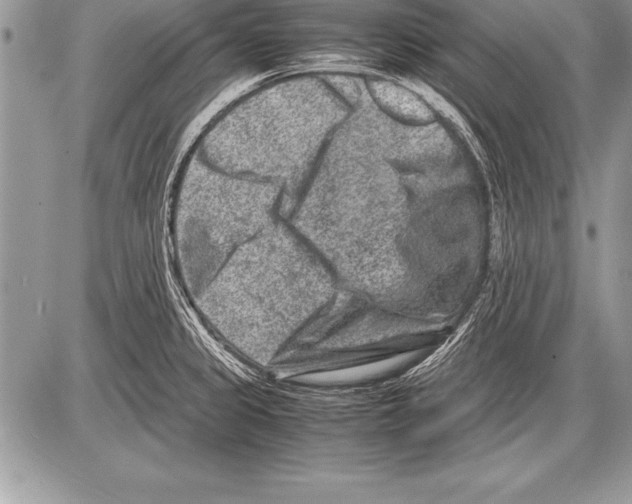 X0000085731333200704131609