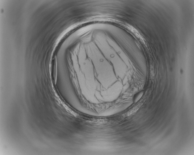 X0000085731334200704131609