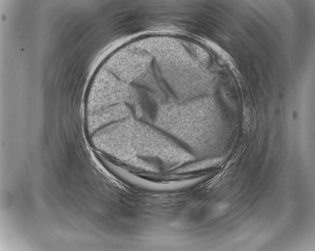 X0000085731335200704131609