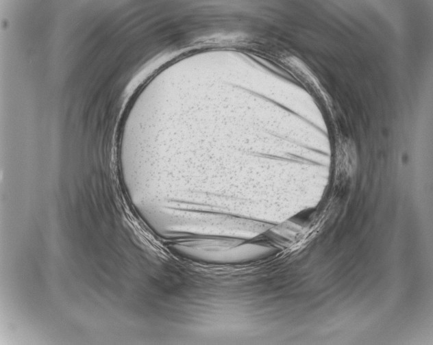 X0000085731336200704131609