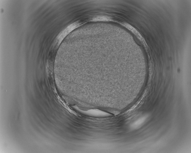 X0000085731337200704131609