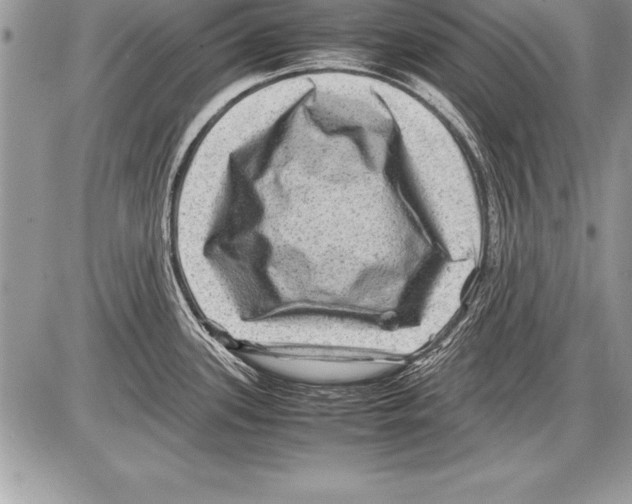 X0000085731339200704131609