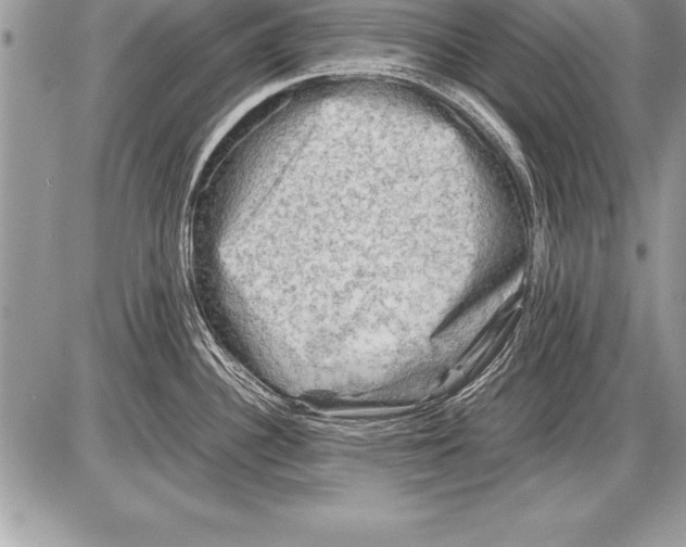 X0000085731340200704131609