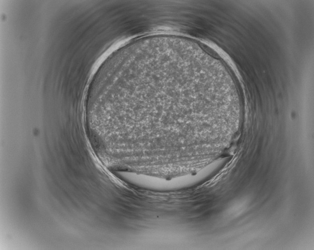 X0000085731341200704131609