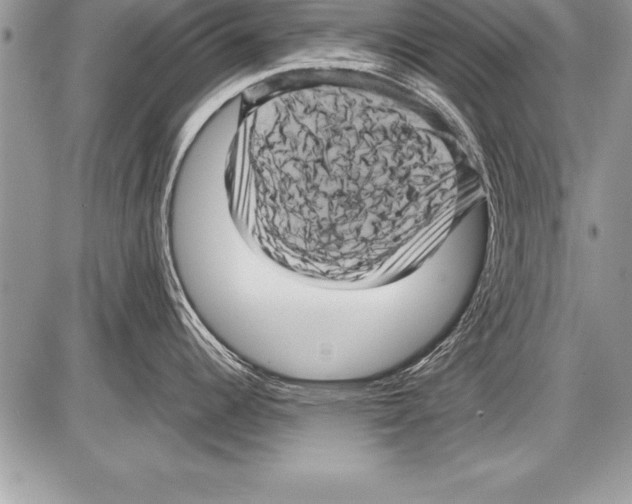 X0000085731344200704131609