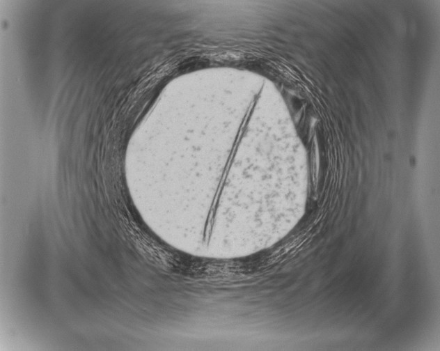 X0000085731345200704131609