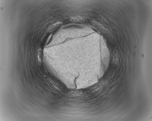 X0000085731346200704131609