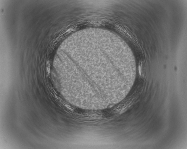 X0000085731347200704131609