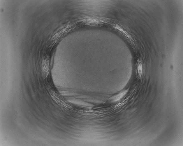 X0000085731348200704131609