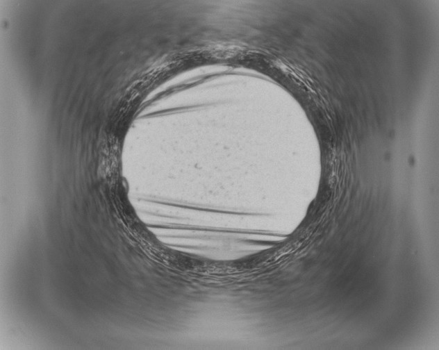 X0000085731349200704131609