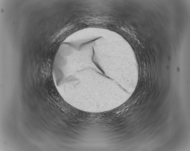 X0000085731350200704131609