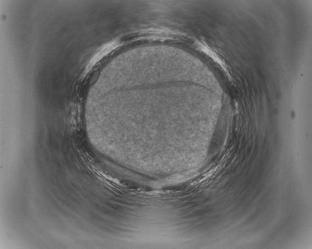 X0000085731352200704131608