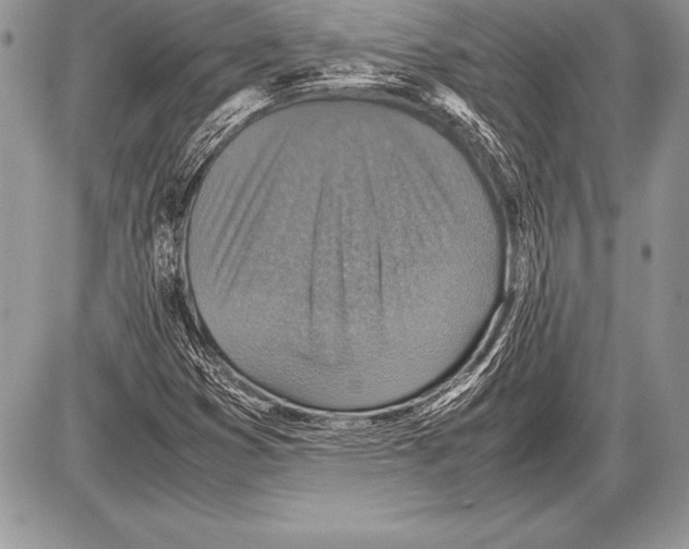 X0000085731353200704131608